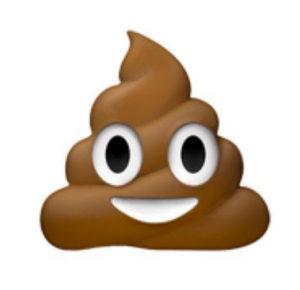Poo
